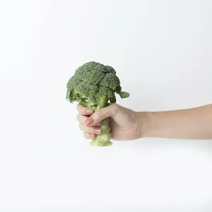 a hand holding broccoli