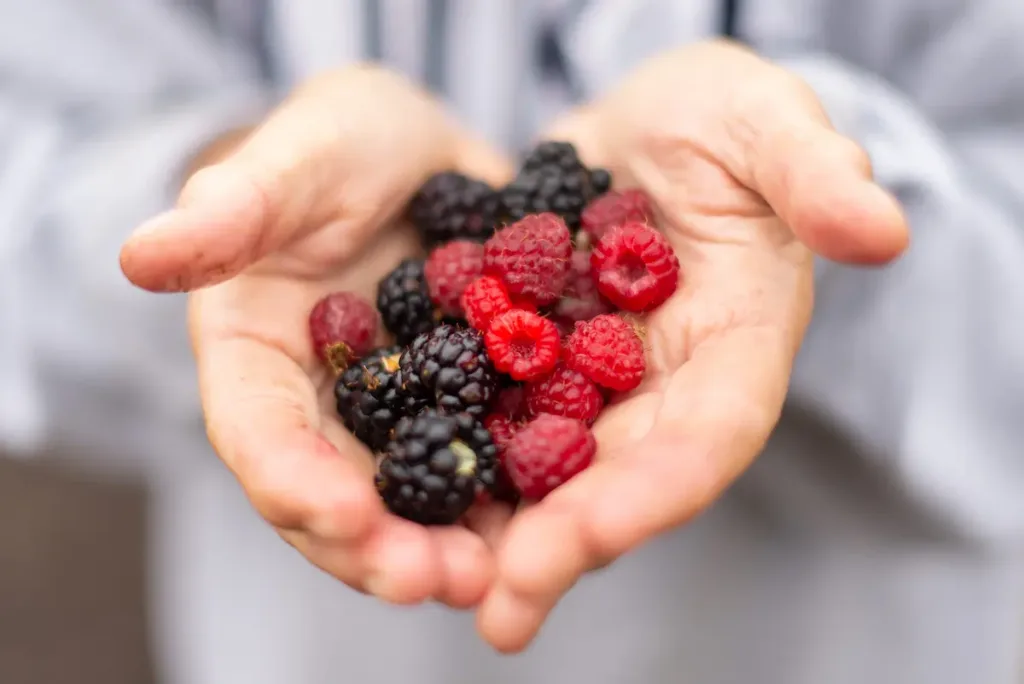 berries in hands