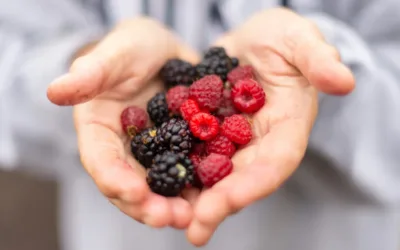 5 Astonishing Health Benefits of Eating Berries